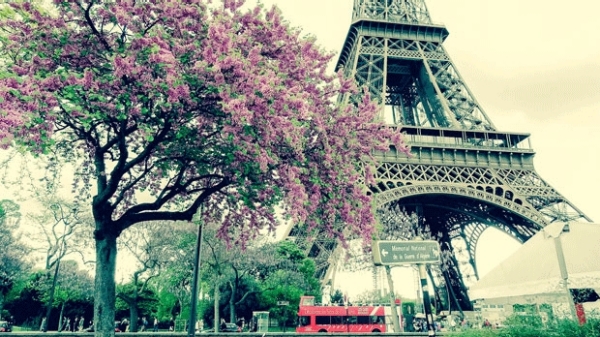 A photo of the Eiffel Tower in Paris, France.