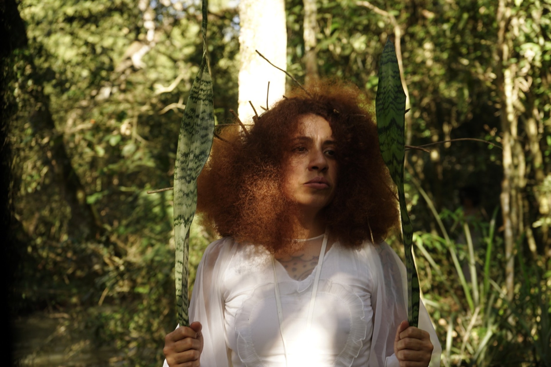 Image from final site-specific student performances in Iguaçu National Park.