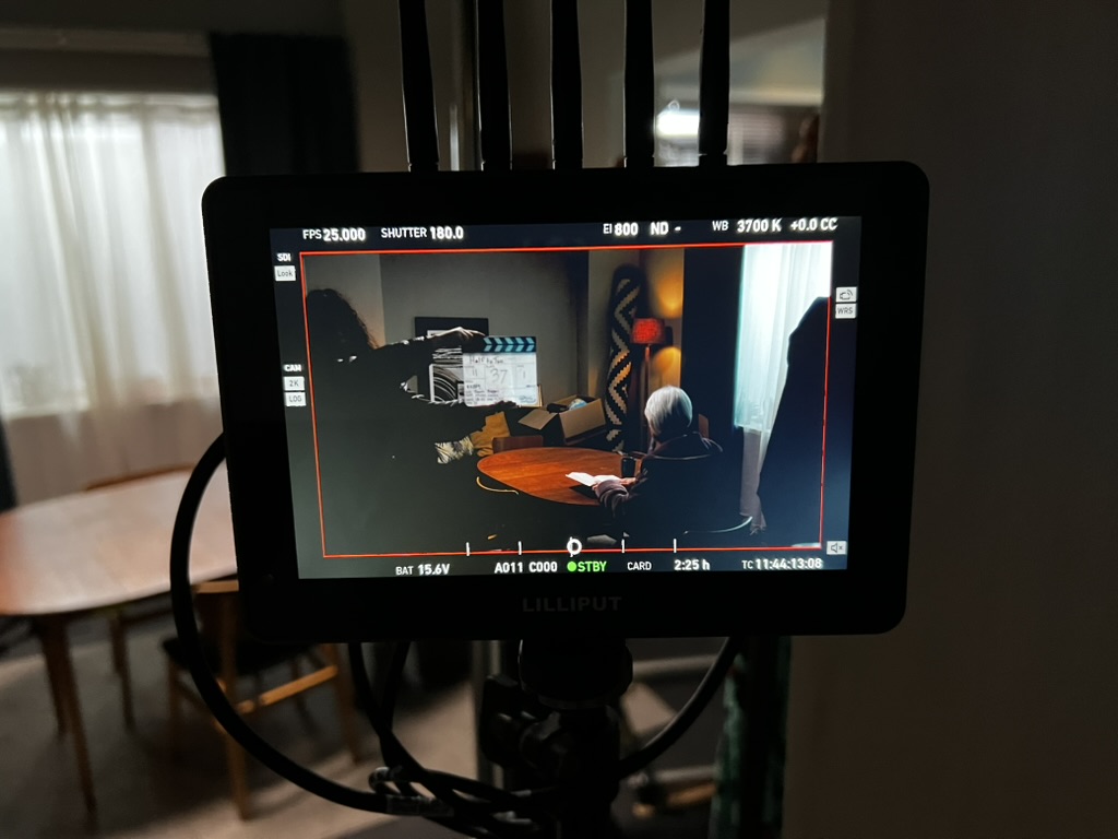 The view from the monitor of a scene