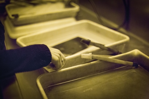 Student's hands lifting an image out of a development tub in a darkroom